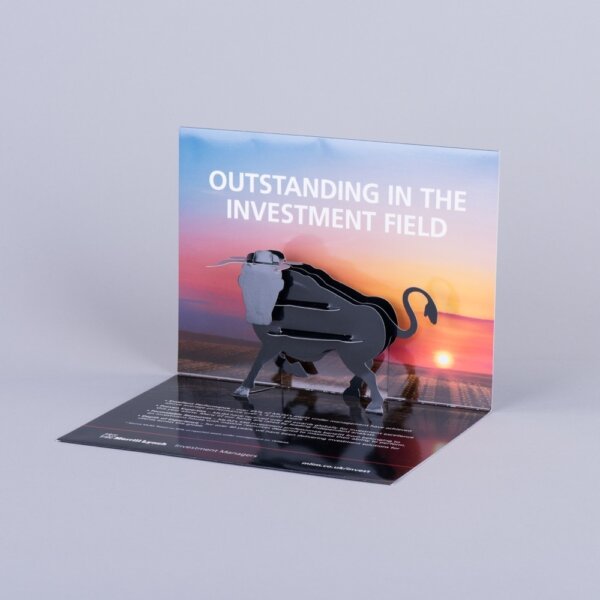 3 Dimensional pop up card
