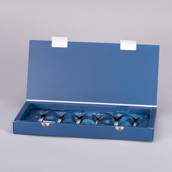 Vape packaging - Hinged box with lid and cardboard  fitment
